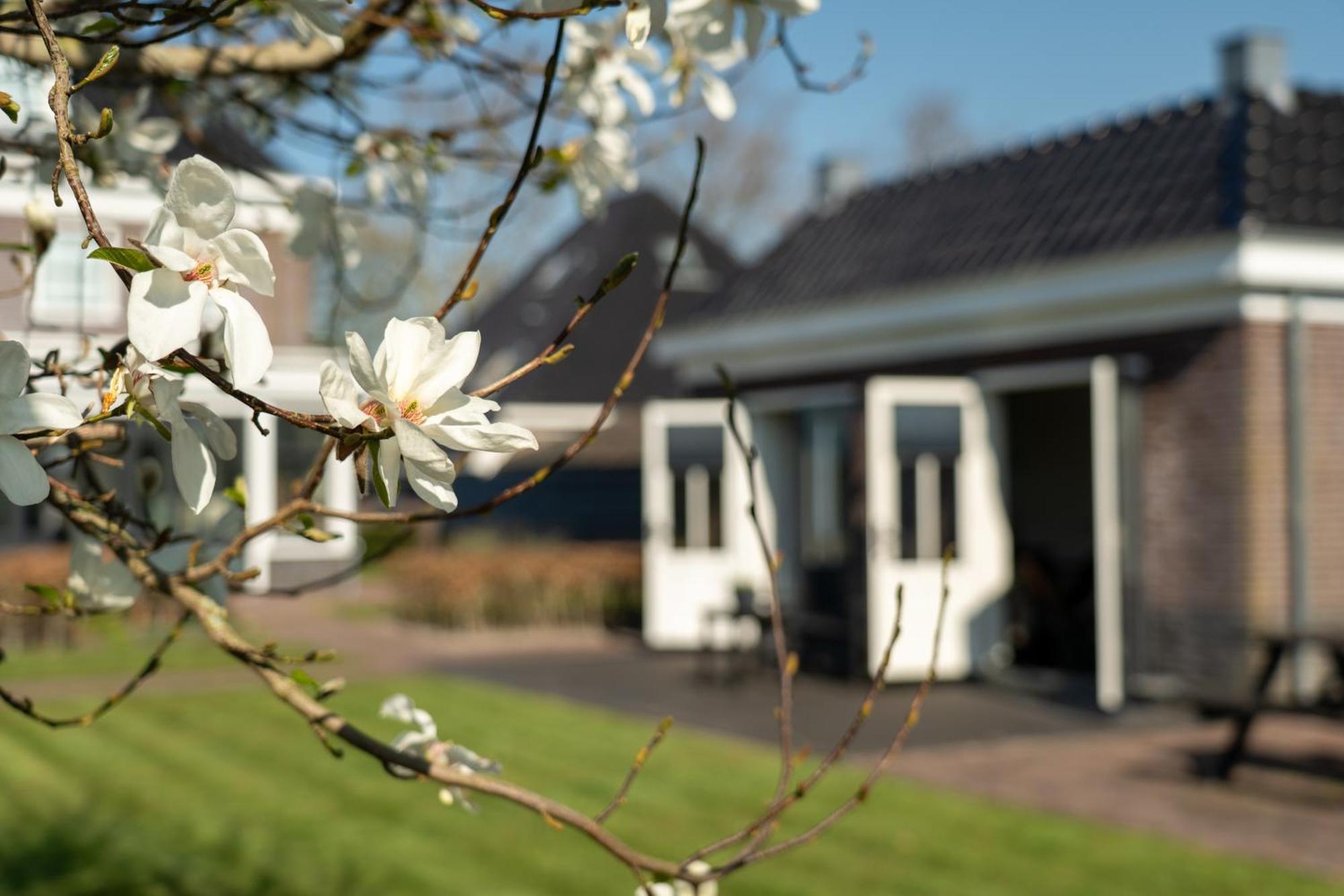 De Parel B&B Breezand Exterior foto